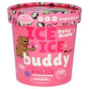 Beg Buddy Starter-Kit Hundeeis Erdbeere & Kokos Vergleich