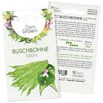 OwnGrown Buschbohnen Samen