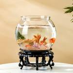 Cicixixi Kugelaquarium
