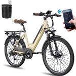 Leichtes E-Bike
