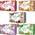 Yoaxia 5er Set Mochi Selection