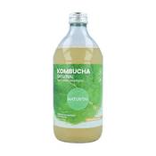 Naturitas Kombucha Vergleich