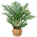 Kazeila Künstliche Palme