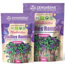 Zengreens Bio Radieschen Sprossen Samen