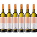 Freyburg-Unstrut Bacchus Lieblich