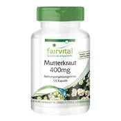 Fairvital Mutterkraut