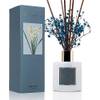 Cocorrína Raumduft Reed Diffuser