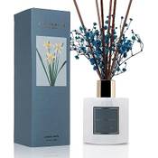 Cocorrína Raumduft Reed Diffuser