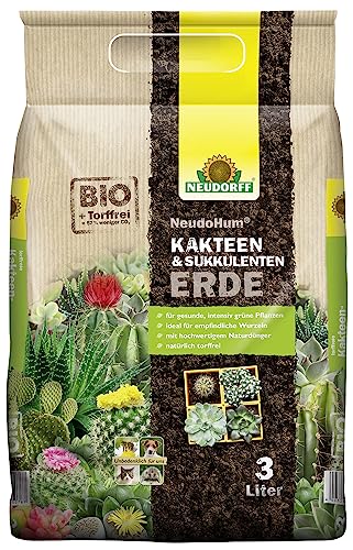 rote bete saatgut landwirtschaft Bio-Saatgut Rote Rbe 'Tondo Di Chioggia'