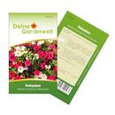 Deine Gartenwelt Petunien-Samen