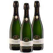 Oberkircher Winzer Riesling Sekt brut