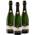 Oberkircher Winzer Riesling Sekt brut