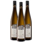 Oberkircher Winzer Scheurebe Auslese