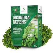 Lerava Kleesamen Dicondra repens