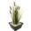 S Vd Velde Typha Latifolia