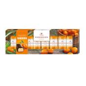 Niederegger Marzipan Klassiker 'Sanddorn' Vergleich