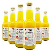 Bleichhof Orangensaft