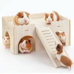 Yibebe Meerschweinchenhaus mit Rampe