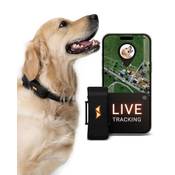 Paj GPS Tracker für Hunde Vergleich