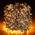 Elktry LED Lichterkette 1000  Outdoor