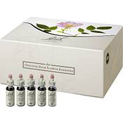 Bach Originaltropfen Box