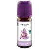 Baldini Buddha Raumduft