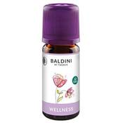 Baldini Wellness Raumduft