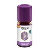 Baldinin Feelruhe