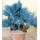 Baldur Garten Blaue Zwerg-Palme