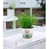 Baldur Garten H-7523 Vergleich