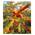 Baldur Garten Sanddorn Busch Orange Energy