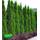 Baldur Garten Thuja Smaragd