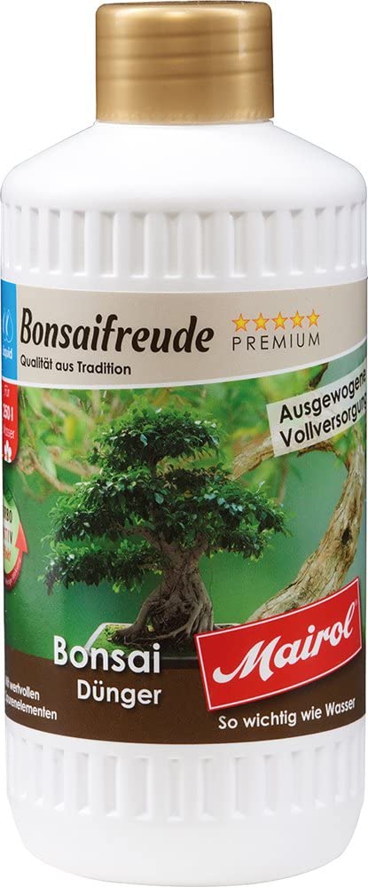 kaffeebaum bonsai Bonsai Ficus 'Ginseng' - Ficus microcarpa ginseng main image 0
