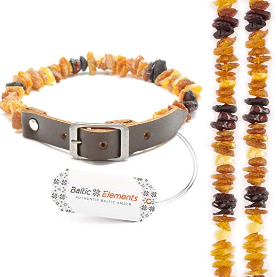 Bernstein-Halsband Hund: Top 10 Test & Vergleich