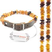 Baltic Elements Bernstein-Halsband