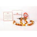 Baltic Secret Bernsteinkette für Hunde