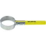 Balzer Fischschupper