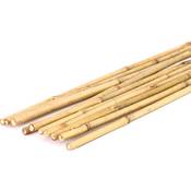bambus-discount.com 15er-Set Bambusrohre Tonkin