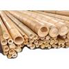 bambus-discount.com Bambusrohr Moso