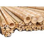 bambus-discount.com Bambusrohr Moso