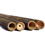 bambus-discount.com Bambusrohr Wulung