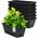 Bamworld Blumenkasten