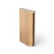 Bang und Olufsen Beosound Emerge