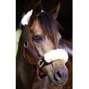 Barefoot Stretch & Breath