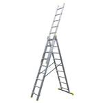 Dachleiter