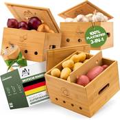 Bazeline Creations Aufbewahrungsbox Vergleich