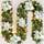 Bcamelys 085BRCMH421QXK8