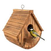 Bebochoi Nistkasten für Wildvögel Vergleich