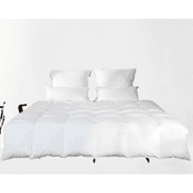 Befa Natur 3002