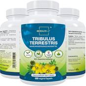 Behealth Tribulus Terrestris Vergleich